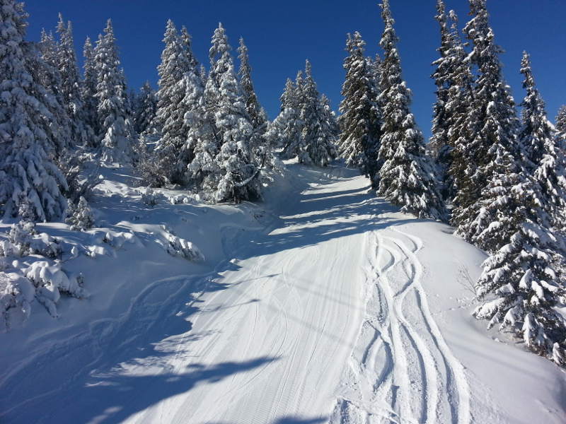 Powder skiing in Borovets, Bulgaria