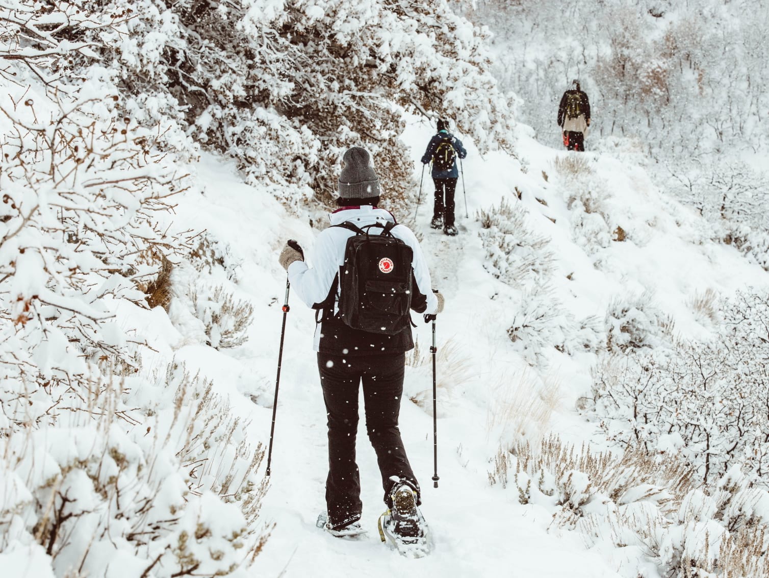 Snow Shoeing In The Mountains