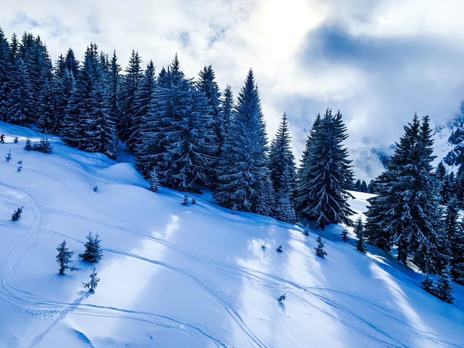 Off piste tracks in Morzine