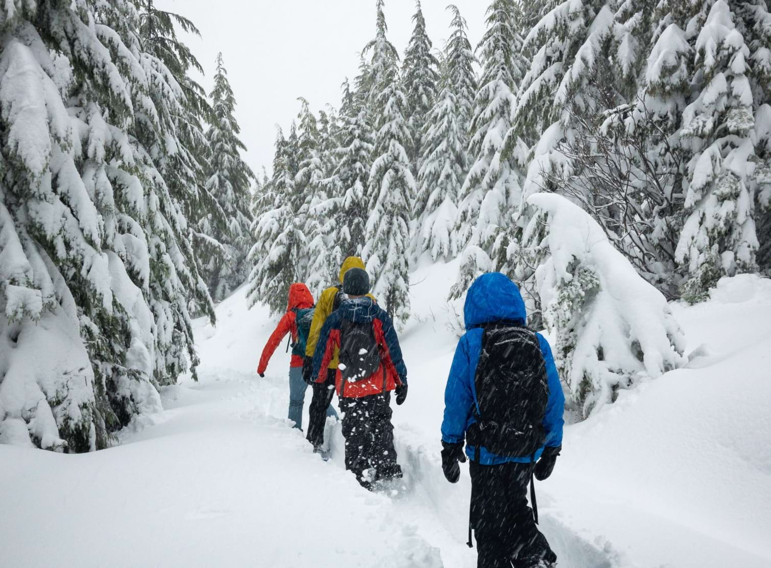 Snow shoeing in Portes du Soleil France