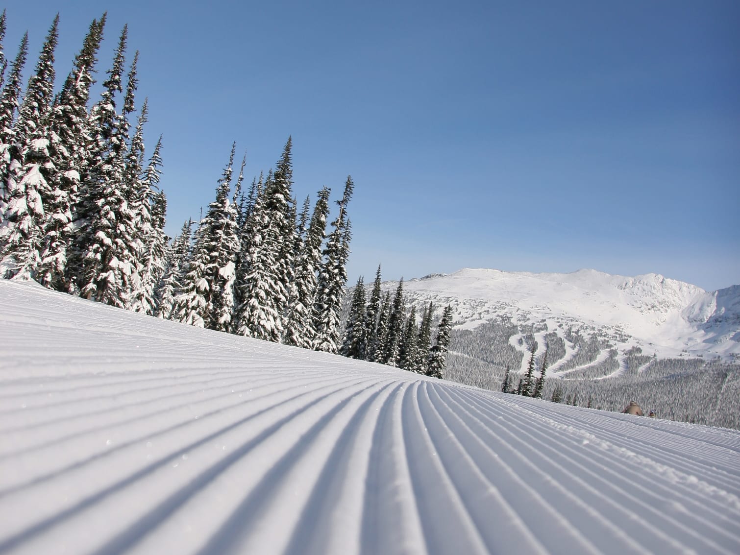 Fresh corduroy on a ski piste