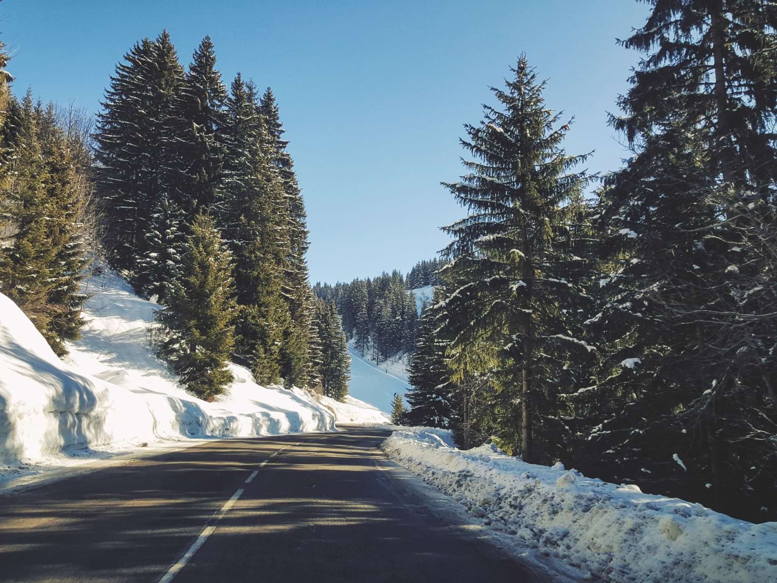 Driving to the Alps