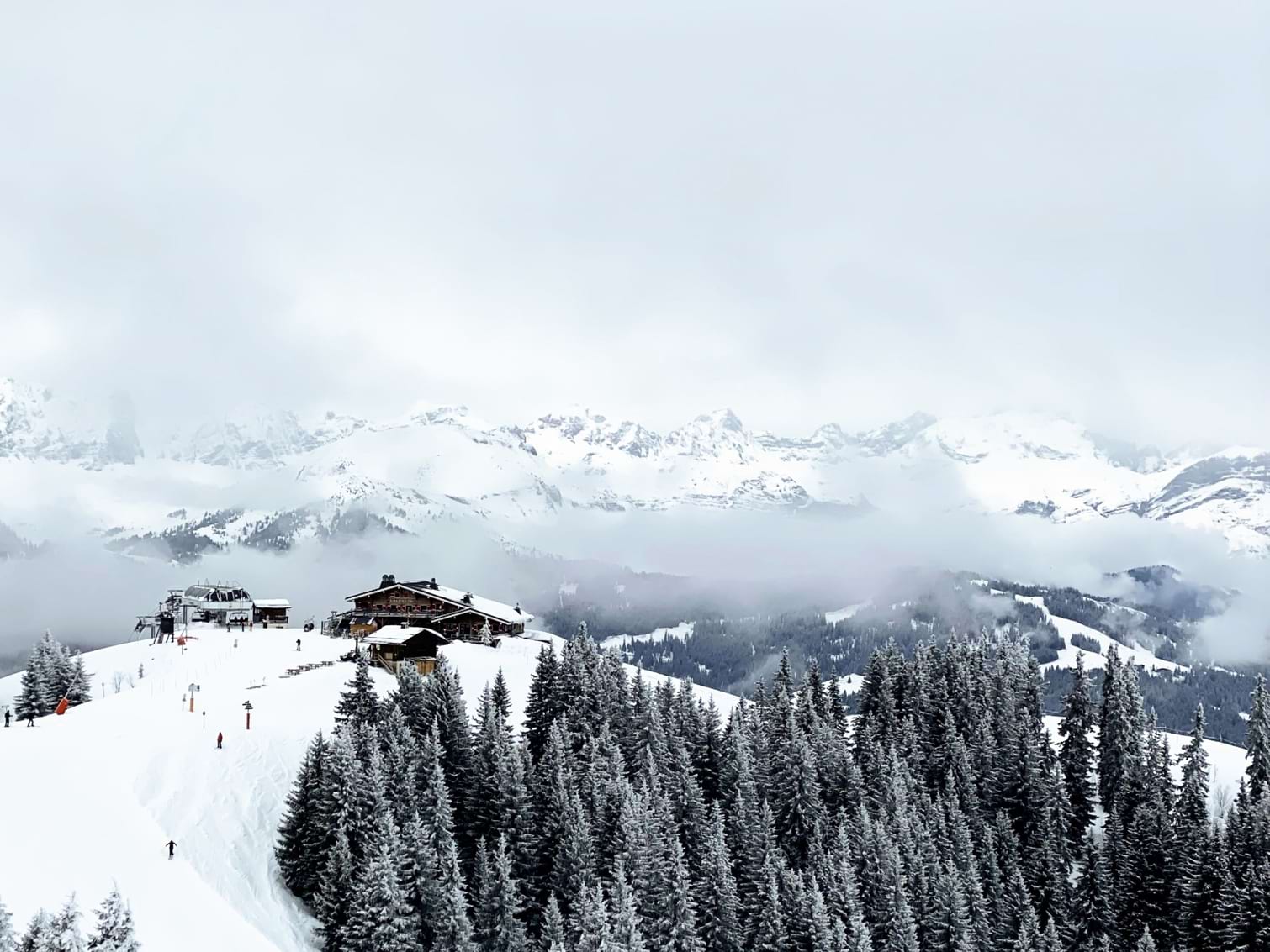 Megeve's tree lined slopes