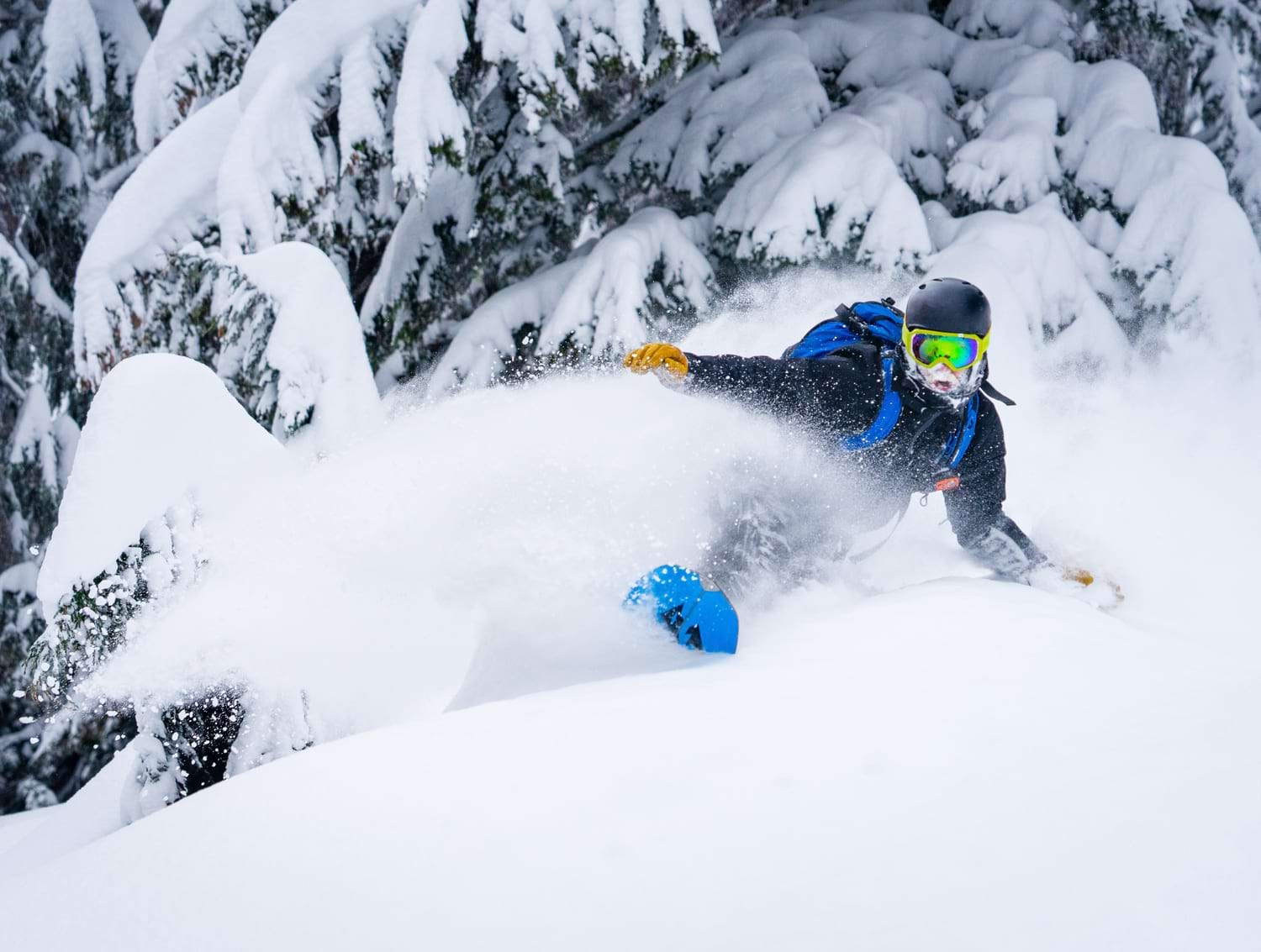 Snow boarder off piste in powder