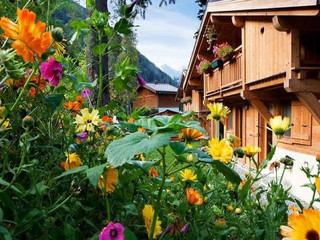 Chalet in Argentiere, France