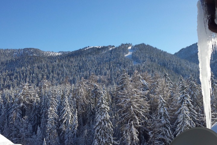 view from terrace