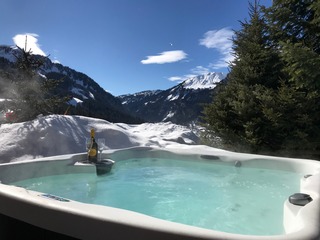 Chalet in Chatel, France