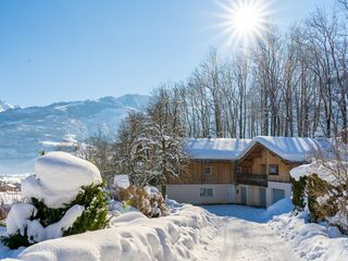 Apartment in Piesendorf, Austria