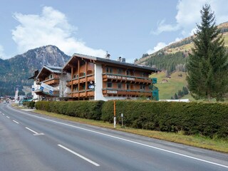 Apartment in Wald im Pinzgau, Austria