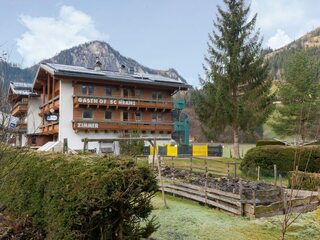 Apartment in Wald im Pinzgau, Austria