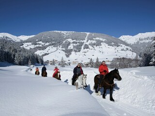 Apartment in Fugen, Austria