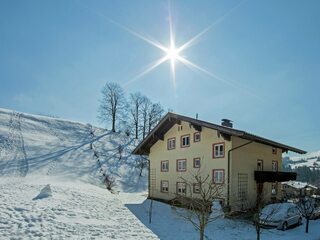 Chalet in Hopfgarten, Austria