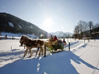 Chalet in Stadl an der Mur, Austria