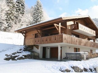 Chalet in Chatel, France