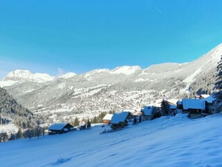 Chalet in Chatel, France