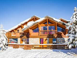 Chalet in Les Menuires, France