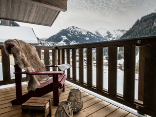 Chalet in Chatel, France