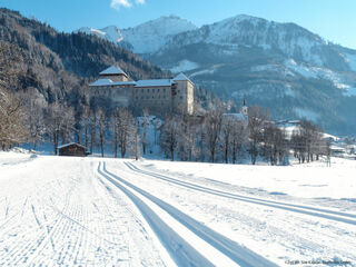 Apartment in Zell am See Kaprun, Austria