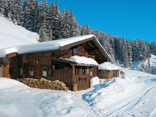 Chalet in Mayrhofen, Austria