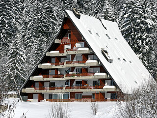Apartment in Gryon / Barboleusaz, Switzerland