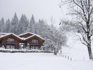 Chalet in Flachau, Austria