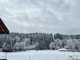 Chalet in Nassfeld, Austria