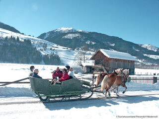 Apartment in Zell am See Kaprun, Austria