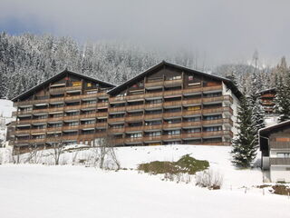 Apartment in Muhlbach, Austria