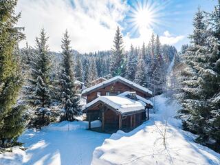 Chalet in La Tania, France