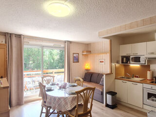 Apartment in Les Deux Alpes, France