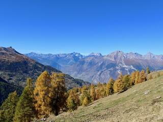 Apartment in Nendaz, Switzerland