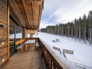 Chalet in Neukirchen, Austria