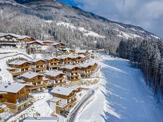 Chalet in Neukirchen, Austria