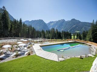 Chalet in Neukirchen, Austria