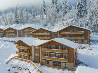 Chalet in Wagrain, Austria
