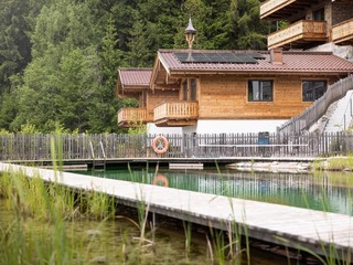 Chalet in Neukirchen, Austria