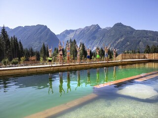 Chalet in Neukirchen, Austria
