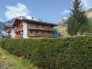 Apartment in Wald im Pinzgau, Austria