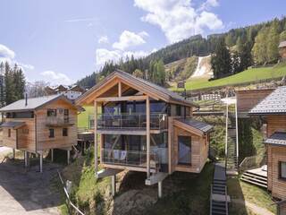 Chalet in Pichl an der Enns, Austria