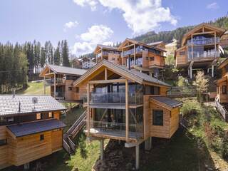 Chalet in Pichl an der Enns, Austria