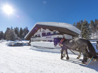Apartment in Seefeld, Austria