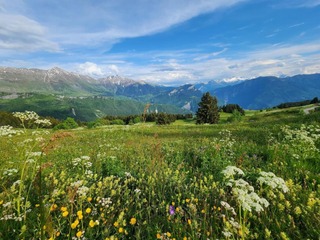 Chalet in Saint Francois Longchamp, France
