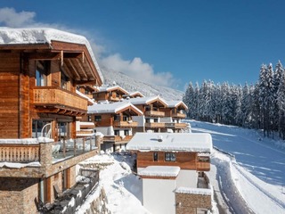 Chalet in Neukirchen, Austria