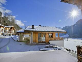 Chalet in Wald im Pinzgau, Austria