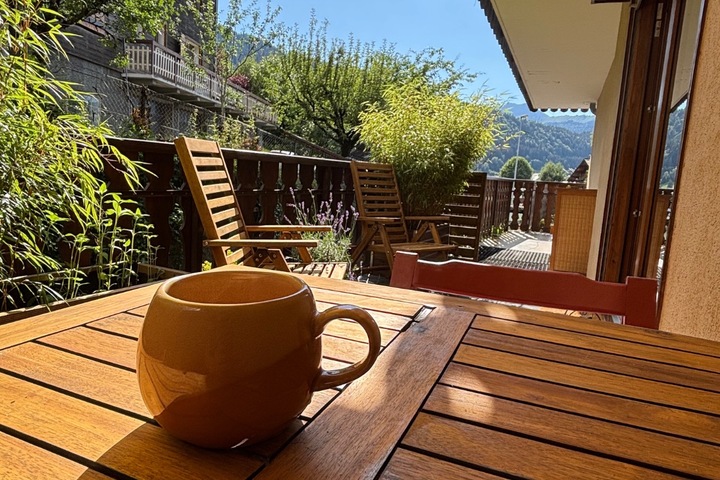 Look out onto the Pleney woods from the large, sunny terrace